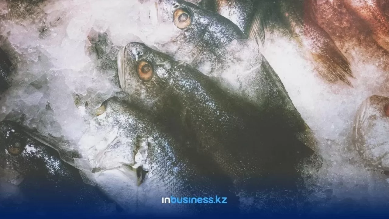 Свыше 1,6 тыс. тонн товарной рыбы вырастили в ВКО за этот год 