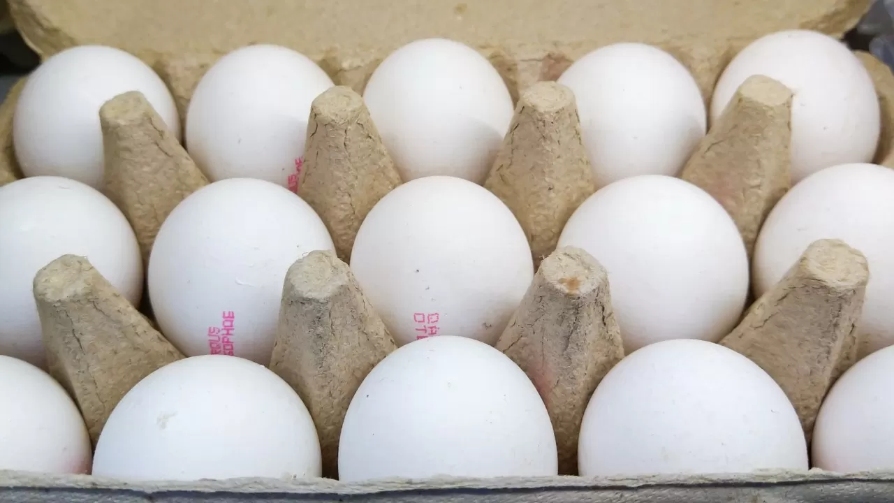 В России подскочили цены на яйца из-за птичьего гриппа