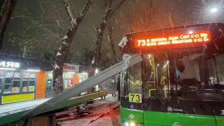 Алматыда автобус аялдамаға соғылды