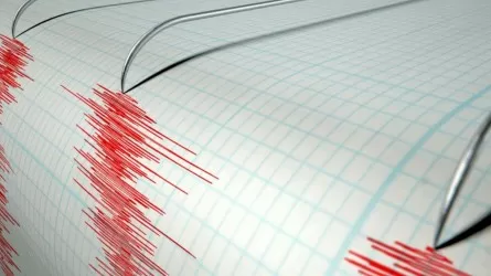 В 513 км от Алматы случилось землетрясение