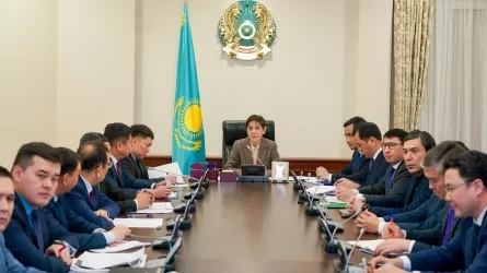 Үкімет «Ауыл аманаты» бағдарламасын талқылады