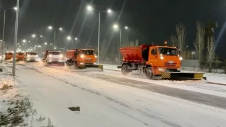 Астанада қарлы боран: әкімдік тұрғындарға үндеу жолдады