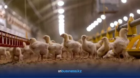 В Атырау единственная птицефабрика продала свои активы  