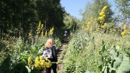 Казахстанские туристы вынуждены ездить дикарями?