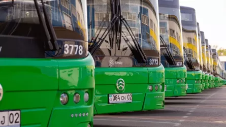 Алматинские врачи прокомментировали состояние пострадавших в смертельном ДТП с автобусом