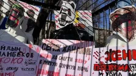 Митинг против насилия “Скажи "нет" миру животных”. При чем тут животные?