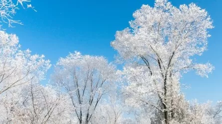 Бүгін елімізде аяз және көктайғақ болады  