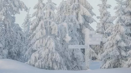 В Казахстане ослабнут морозы