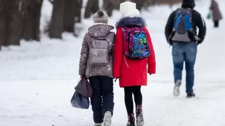 На дистанционку перевели учащихся второй смены в Астане