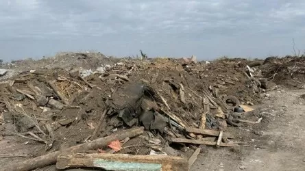 137 стихийных свалок ликвидировали в Караганде