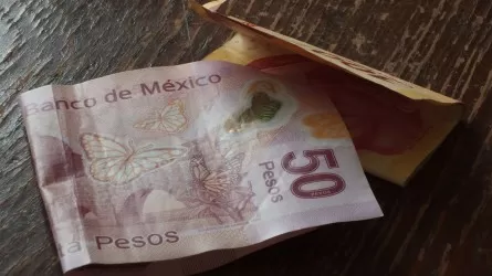 Шоковая терапия: Аргентина объявила о девальвации своей валюты в два раза 