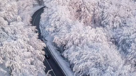 В Жамбылской области на трассах застряли свыше тысячи автомашин