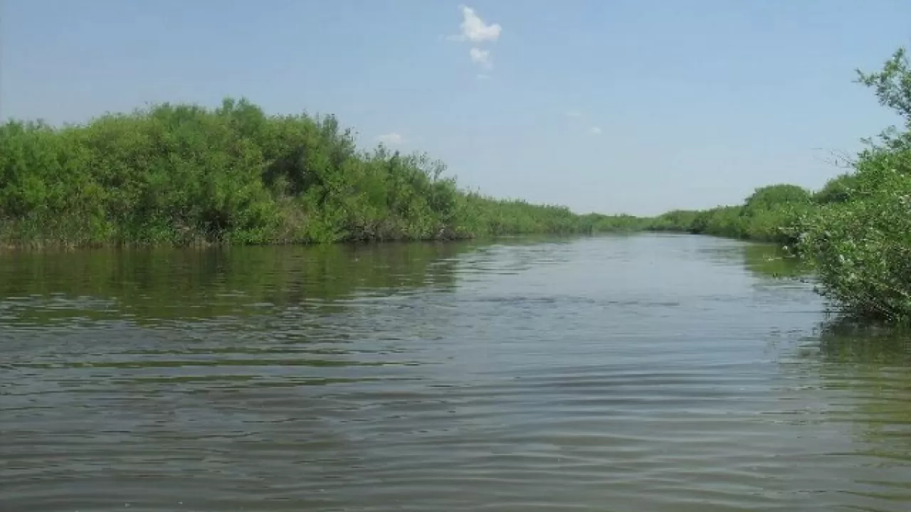 Нұра өзені сынаптан тазармай тұр