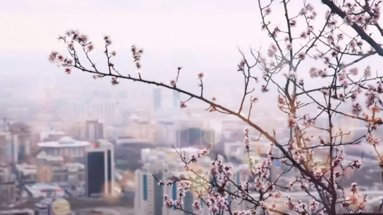 "Қазгидромет": Алматыға биыл көктем ерте келеді