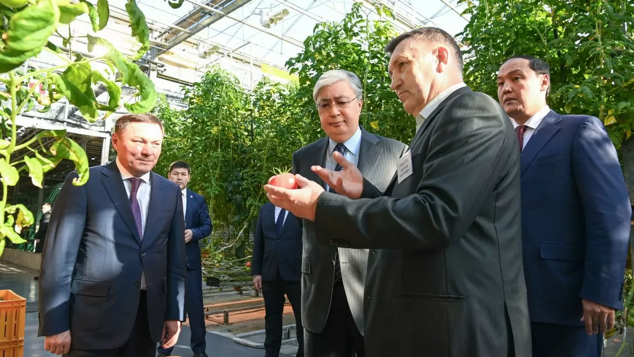 Президент Степногорсктегі "Қазақстанның жылыжай технологиялары" компаниясына барды