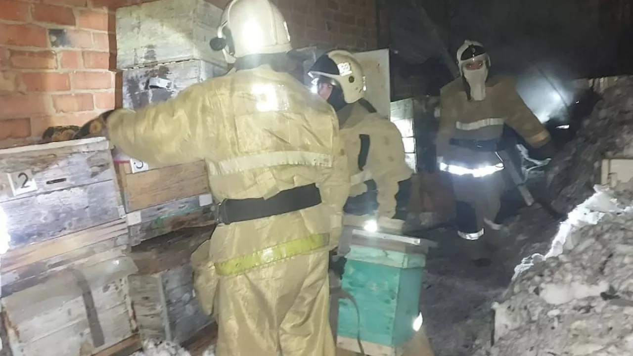 Өскемендік құтқарушылар жанып жатқан үйден бал арасының ұяларын алып шықты