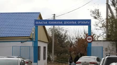 Психикалық ауытқуы бар науқастар орталыққа сыймай жатыр 