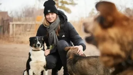 Елена Рыбакина перечислила деньги собачьему приюту