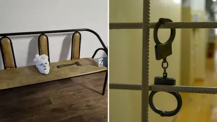 Петропавлдағы мектепте оқушыларға шабуыл жасаған жасөспірім қамауға алынды
