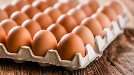 Потеряем время и рынки: зачем птицефабрикам РК нужен экспорт яиц в Китай?