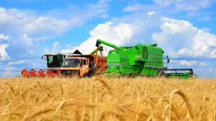 1 трлн тенге выделят в Казахстане на развитие сельхозкооперации
