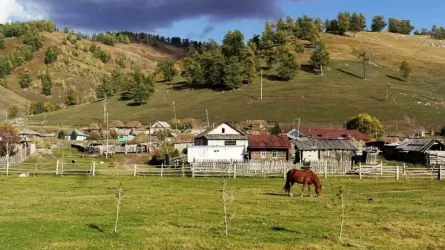 В Казахстане упала численность сельского населения