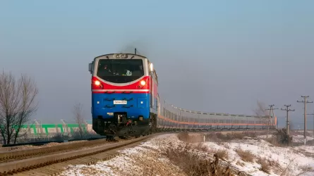 В Улытауской области поезд сбил шесть лошадей