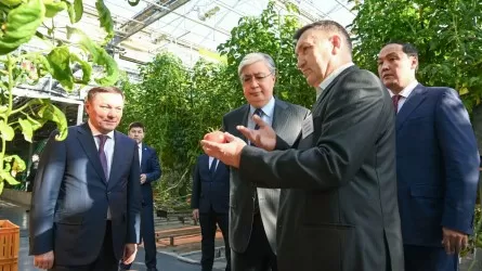 Президент Степногорсктегі «Қазақстанның жылыжай технологиялары» компаниясына барды