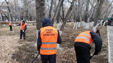 Сколько стоит жизнь бездомного кота в Казахстане?