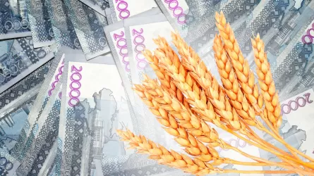 Казахстанские фермеры подали заявок на субсидирование более чем на 17 млрд тенге