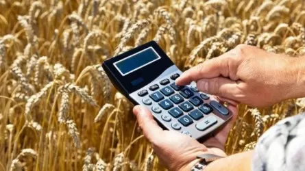 Субсидии для АПК: Почему  аграрии оказались в подвешенном состоянии?