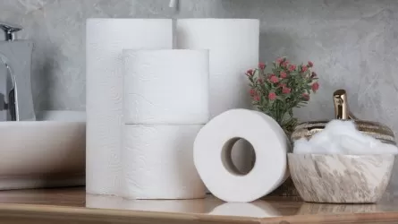 В Казахстане резко подорожала туалетная бумага: более чем в полтора раза за год 