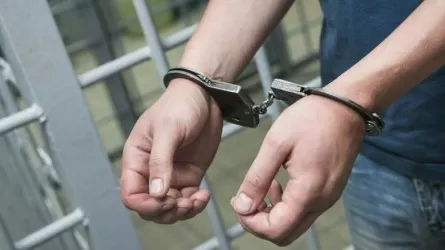 ІІМ: Журналистерге жасалған арандатушылық шабуылдардың үйлестірушісі ұсталды