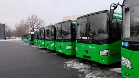 Досаев: "2025 жылдың соңына дейін Алматыда дизельмен жүретін бірде-бір автобус болмайды"