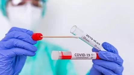 Резко выросло число заражений коронавирусом в Казахстане