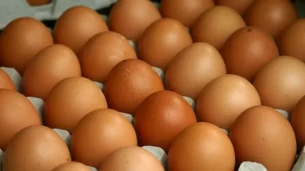 В Павлодарской области агентство по финмониторингу снизило цены на яйца