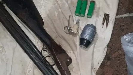 Полиция в Жамбылской области нашла тайник с оружием и боеприпасами