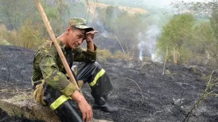 В Алматы за сутки ликвидировали 8 очагов пожаров