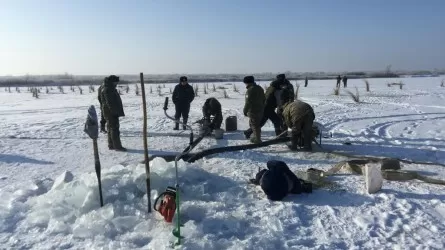 Более 1 млн кубометров снега вывезено из населенных пунктов Павлодарской области