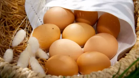 Завышение цен на яйца выявили в Уральске