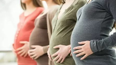 Средний размер соцвыплаты по беременности и родам составит 900 тыс. тенге в этом году 