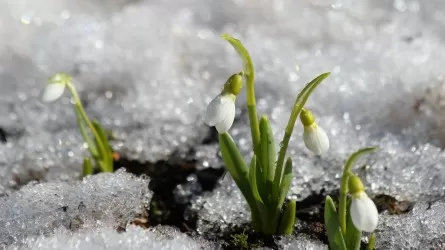 Прогноз погоды на неделю