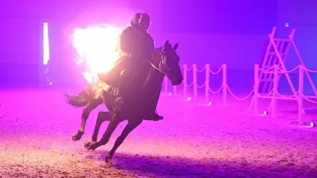 Токаева удивили трюками каскадеров Nomad Stunts 