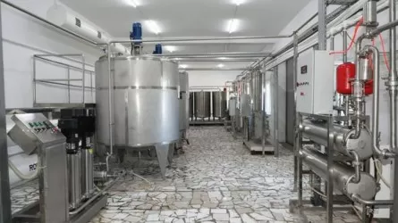 Түркістан облысында түйе сүтін өңдейтін зауыт ашылды