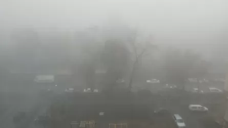 Алматыны тұман басты