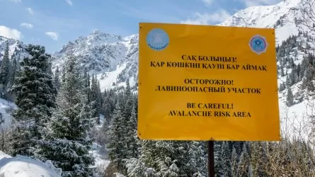 Осторожно! Алматинцев предупредили о сходе снежных лавин 
