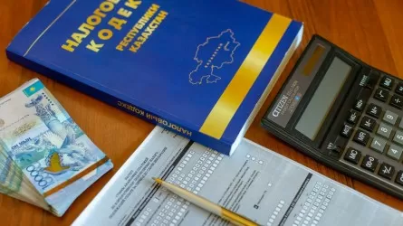 Токаев обозначил контуры нового Налогового кодекса 