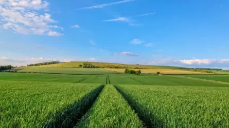 Правила предоставления сельхозземель в аренду собираются изменить в Казахстане