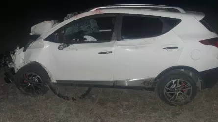 Автомобиль ночью врезался в табун лошадей в области Жетысу