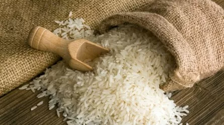 Қызылорда облысында 6 күріш өндірушіге қатысты бағаны көтерудің негізділігіне тексеру жүргізіледі